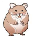 Just your ordinary neighbourhood hamster.