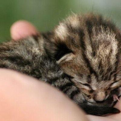 rnk_talkspace's profile picture. 