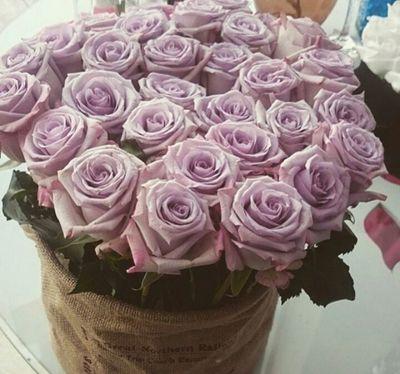 اسوي ريتويتات كثير..  الحمدلله واستغفرالله والله أكبر  ♥