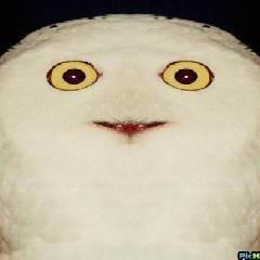 リツイートとスマブラするだけ ひたすらTAありチームしてます たまに原神とOWとイカ