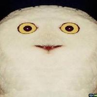 つなし (@tunashi1719) 's Twitter Profile