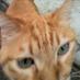 Drover (@piouhgd46) Twitter profile photo