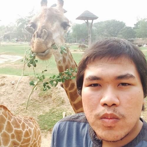 Teerapong_First's profile picture. 