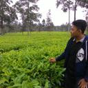 Hamid Salman Karim - @Hamid_CVL - Twitter