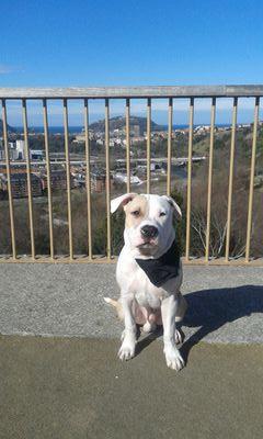 imanol22vazquez's profile picture. 