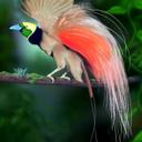 الحميري (@0567521934w) Twitter