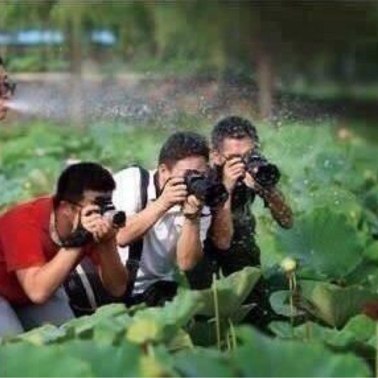 alathad2's profile picture. 