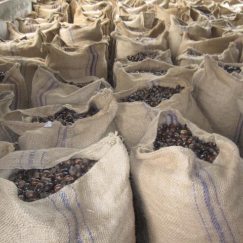 ffsquared's profile picture. 