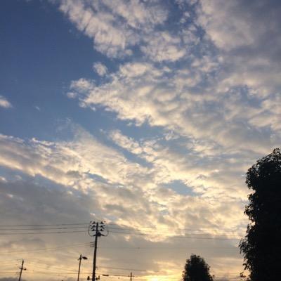 ちばたか