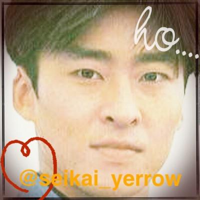 セイカイ ニンジャイエロー Seikai Yerrow Tvitter セイカイ ニンジャイエロー Seikai Yerrow Tvitter