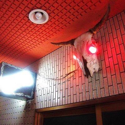 ピッヒッピー