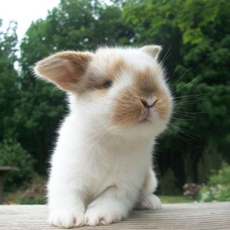 joanne88brown's profile picture. 