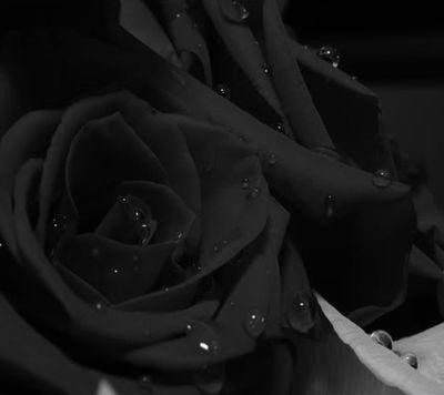 classless's profile picture. 