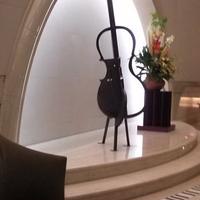 実践女子大学弦楽合奏部 (@le_sfeuilles) Twitter profile photo