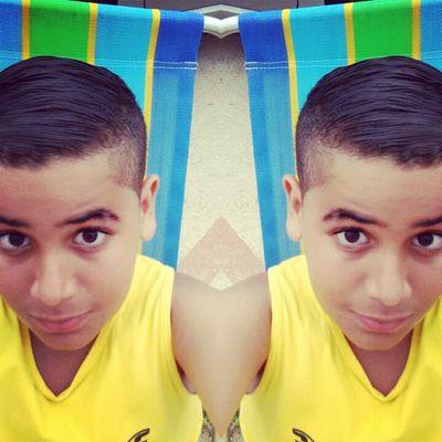 Boylieber