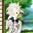 s055t's profile image