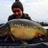 dan_elmes's profile image