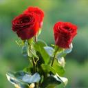 Sameer 1977 (@1977_sameer) Twitter