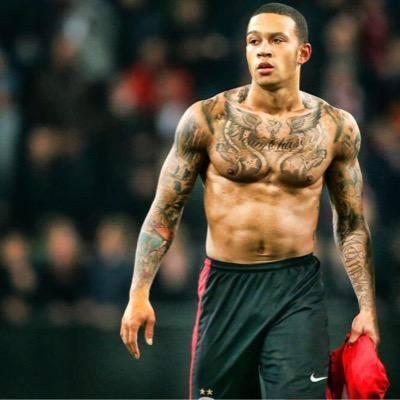 fachmiwingers's profile picture. 