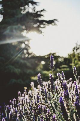 grasping moments, fotograsps