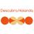 DescubraHolanda's profile image