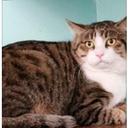 Dora Lin - @iiofie - Twitter