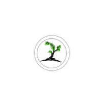 Set up a RESTful database in minutes. We offer the platform, you can offer the data. contacts@restlify.com