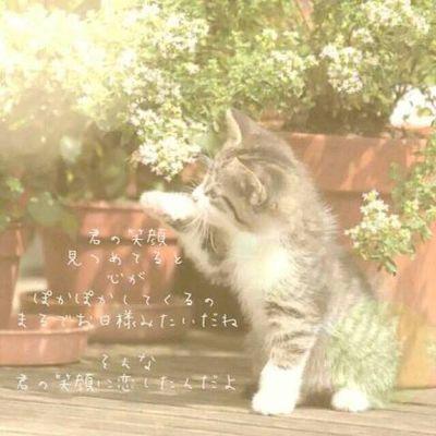 人生なんてよくわからんのだよ