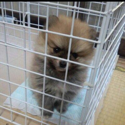ブロックしたら倍にして返しますｗｗ