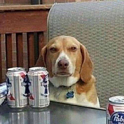 dave68786565's profile picture. Therealdahokk