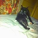 Weston ward - @Birdnest257Ward - Twitter