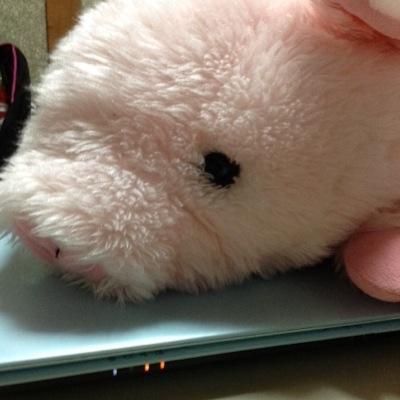 巽、3ーB、元テニス部 気軽にフォローしてください！