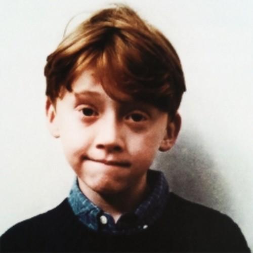 hobbit_z_shire Profile Picture