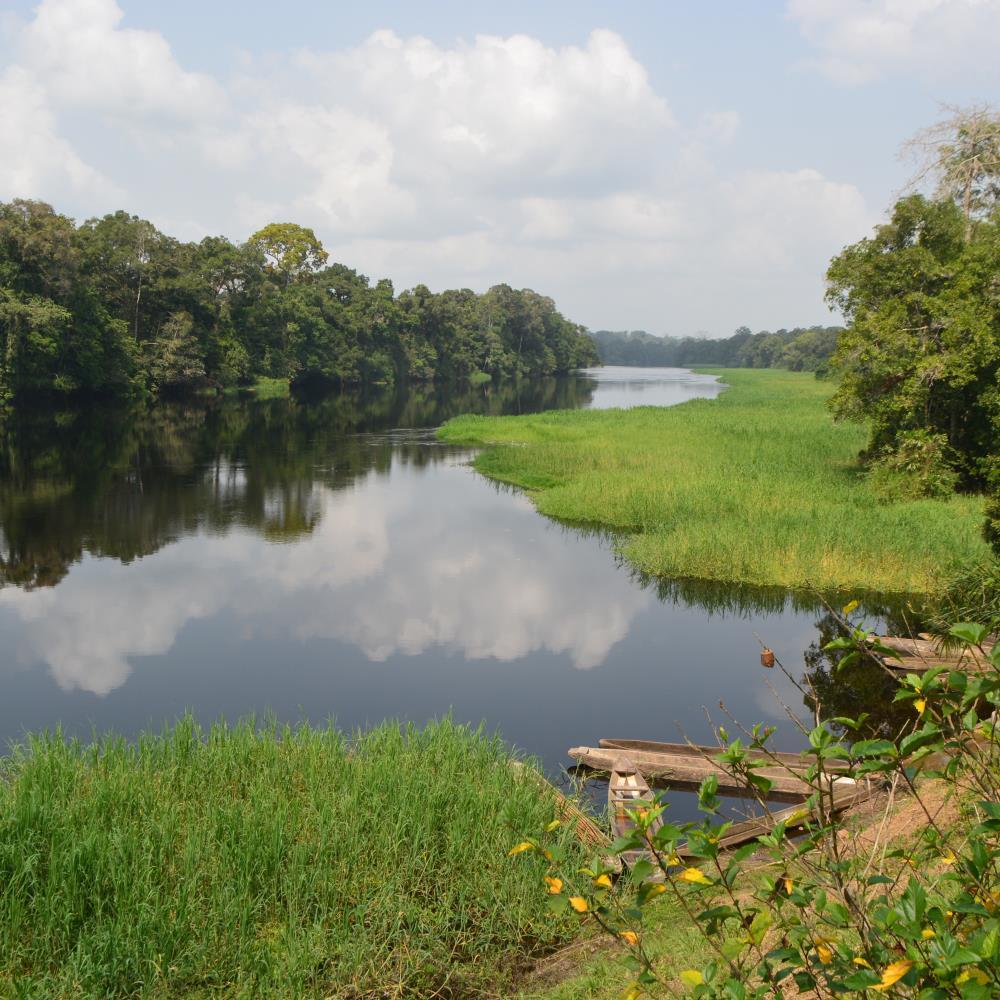 TrgtTrgtt's profile picture. 