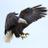 hphs_pscs's profile image