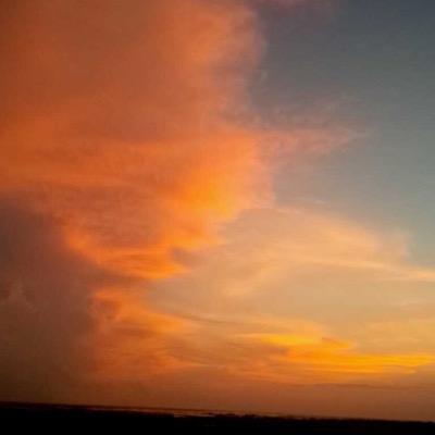 realfunctions's profile picture. 