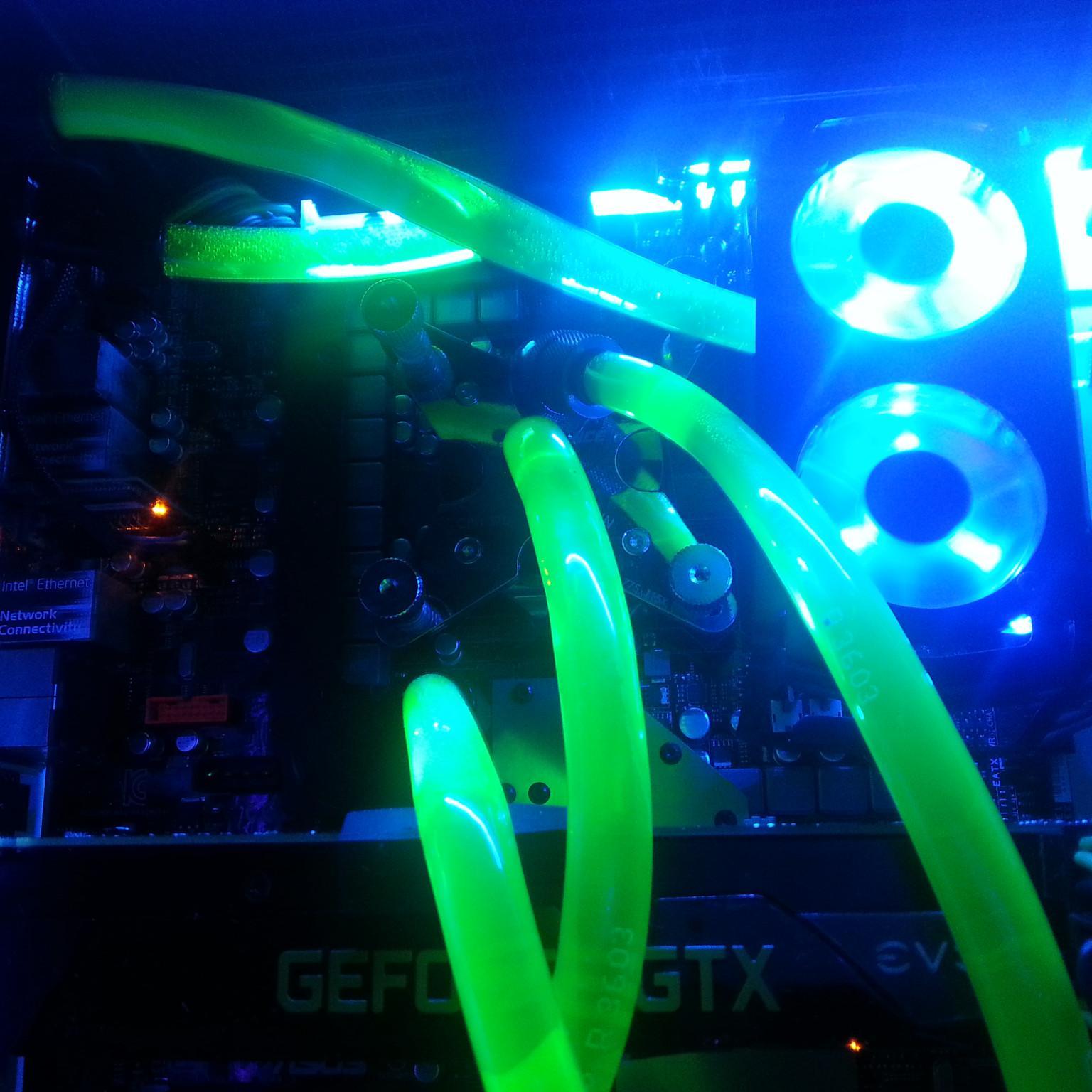 IT Guy, NL Festival Fan (+100)