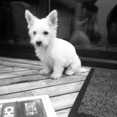 _alfiett_'s profile picture. 