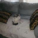 beverly medlock - @BeverlyPyrljam - Twitter