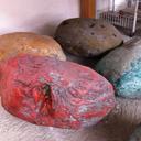 Luis Carrera-Maul - @luiscarreramaul - Twitter