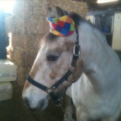 FrankiePlenty's profile picture. horsey girl