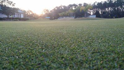 Golf Course Superintendent
Cimarrone Golf & County Club