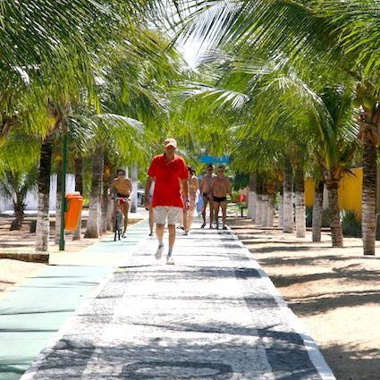 Localizado a 40 km de Salvador em um dos pontos mais paradisíacos do Litoral Norte, o Hotel Guarajuba é a melhor opção em acomodação de porte médio.