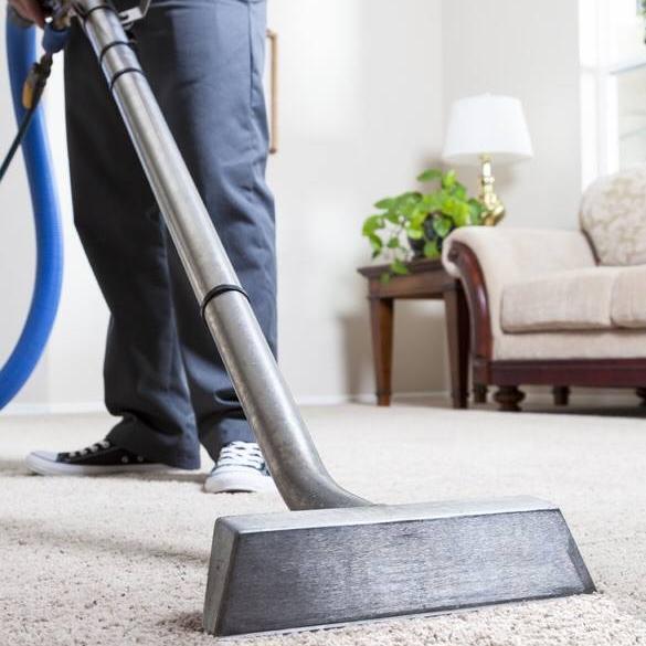 DMCarpetCompany's profile picture. We are dedicated to providing you with any type of professional carpet cleaning service you need. We offer residential cleaning and commercial cleaning services