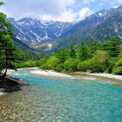 dpcm2oeFnopkBlD's profile picture. 