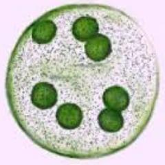 どこかで見かけたらよろしくお願いします