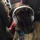 Melanie Barry - @Melanie92433886 - Twitter