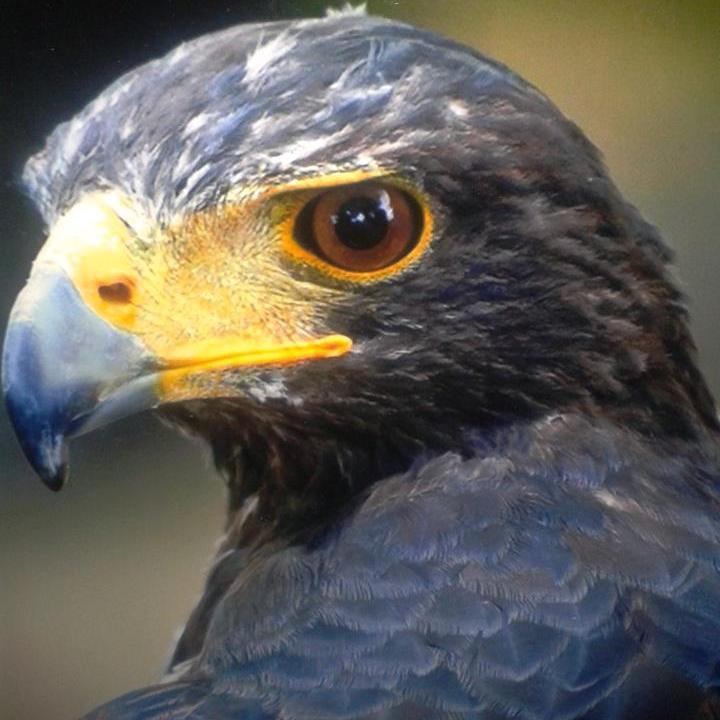 imartinezfelipe's profile picture. Consultor Informático