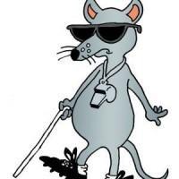 Third Blind Mouse(@3rdBlindMouse) 's Twitter Profile Photo