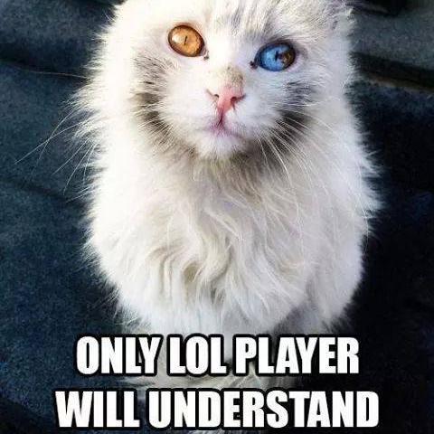 NikolaBrandicSK Profile Picture